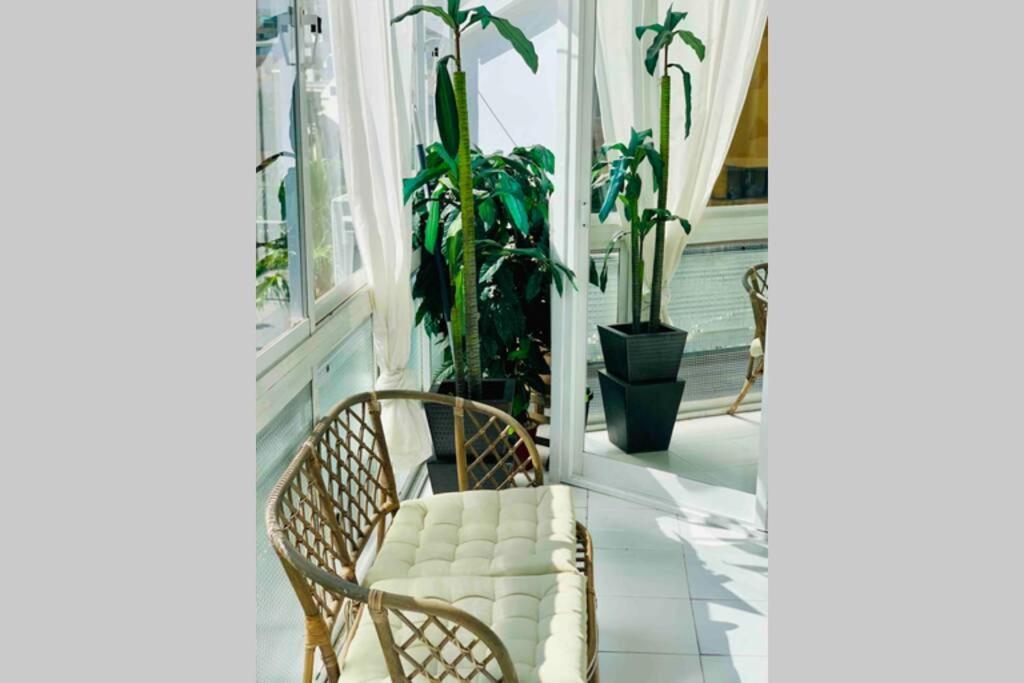 Begonia City Center Apartment 230 By Namaste Elite توريمولينوس المظهر الخارجي الصورة