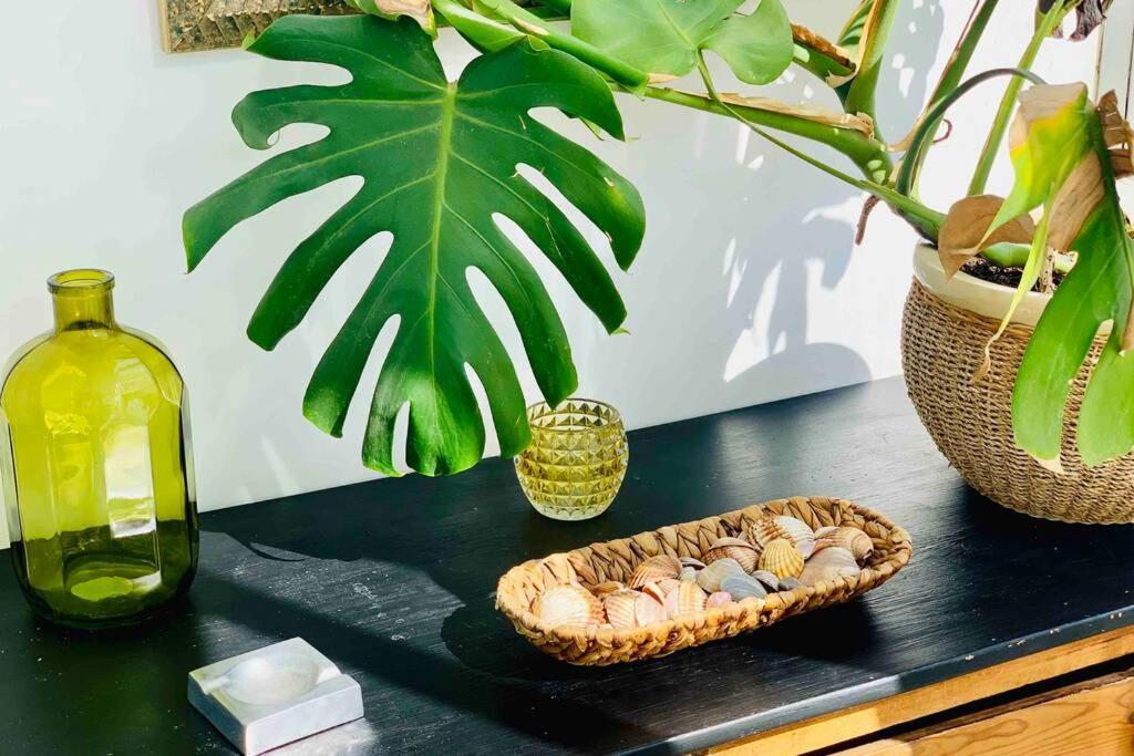 Begonia City Center Apartment 230 By Namaste Elite توريمولينوس المظهر الخارجي الصورة