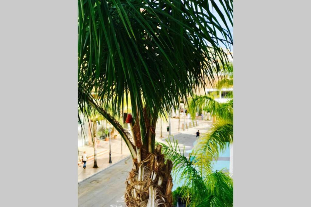 Begonia City Center Apartment 230 By Namaste Elite توريمولينوس المظهر الخارجي الصورة