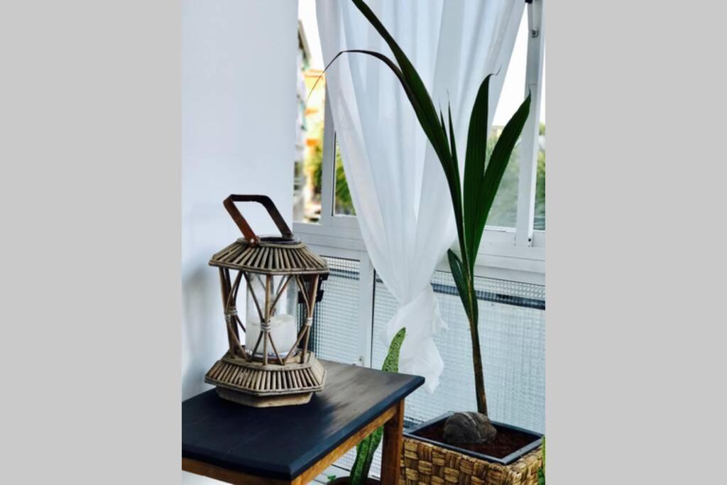 Begonia City Center Apartment 230 By Namaste Elite توريمولينوس المظهر الخارجي الصورة
